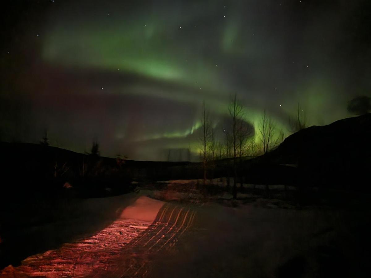 Golden Circle Cabin, Hot Tub Villa Geysir Eksteriør bilde